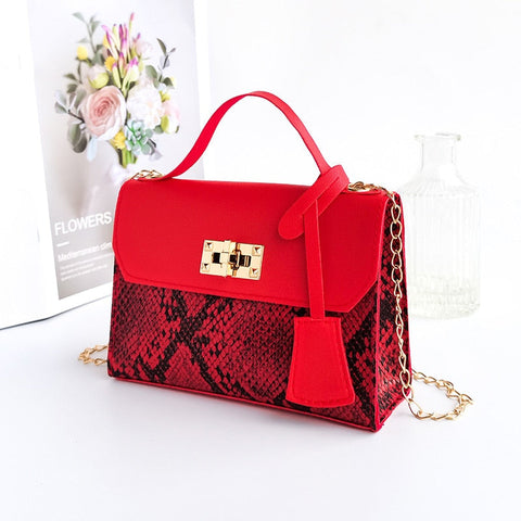 mtvrmall - New Fashion Messenger Bag for Women Trend Luxury Handbags Camera Female Cosmetic Bag Lady Crossbody Shoulder Bags