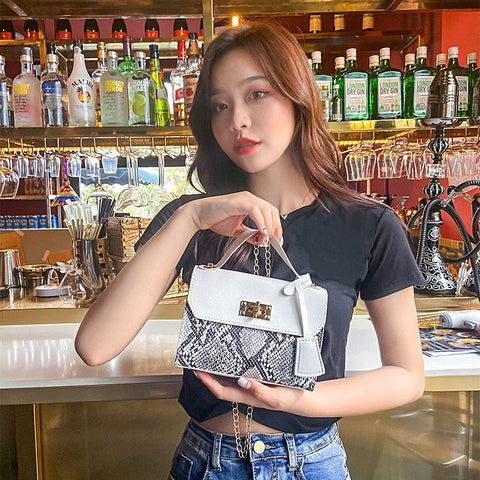 mtvrmall - New Messenger Bag for Women Trend Luxury Handbags Camera Female Cosmetic Bag Fashion Chain Lady Crossbody Shoulder Bags