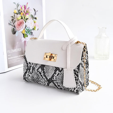 mtvrmall - New Messenger Bag for Women Trend Luxury Handbags Camera Female Cosmetic Bag Fashion Chain Lady Crossbody Shoulder Bags