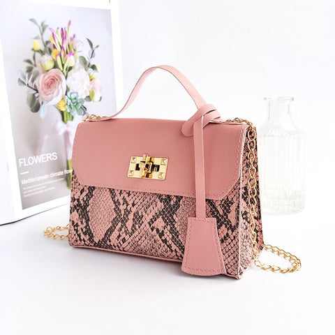 mtvrmall - New Fashion Messenger Bag for Women Trend Luxury Handbags Camera Female Cosmetic Bag Lady Crossbody Shoulder Bags